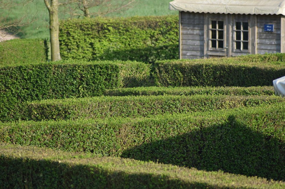 Het doolhof van buxus in de dijktuin