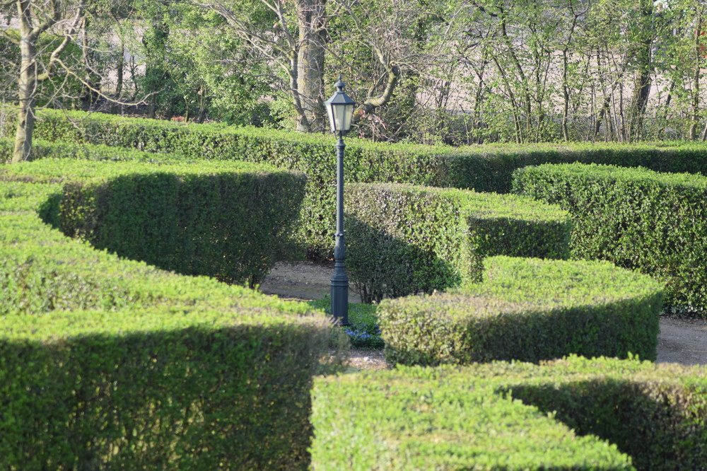 De buxushagen in de dijktuin met een blokhut op de achtergrond